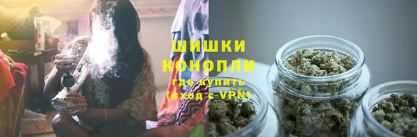 соль ск Абаза