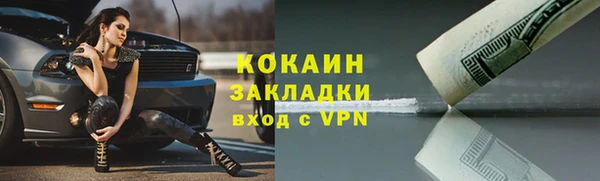 соль ск Абаза